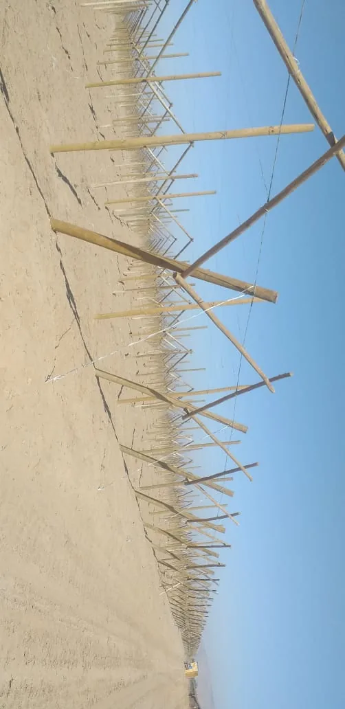 Poste de parrón de eucalipto instalado con alambres tensados