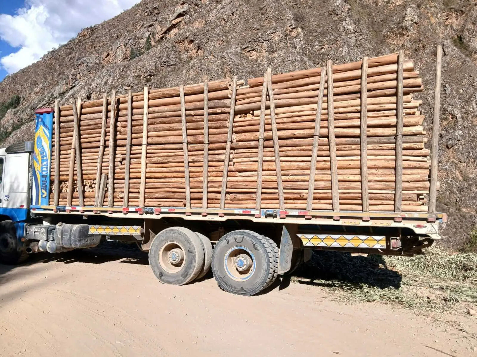 Camión de Sabinita cargado con rollizos de eucalipto en carretera de la costa