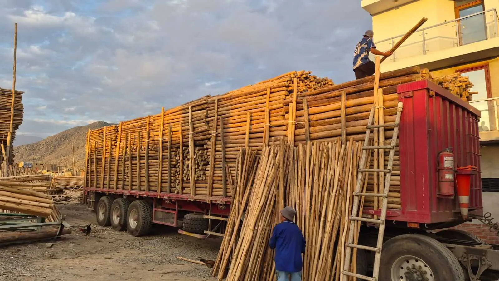 Camión rojo cargado con postes de eucalipto y obrero acomodando la carga junto a una obra