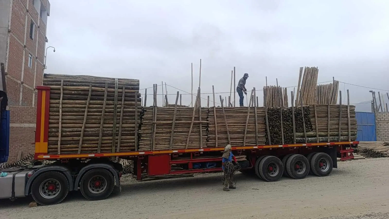 Camión cargado con vigas y tablas aserradas, operario asegurando la carga