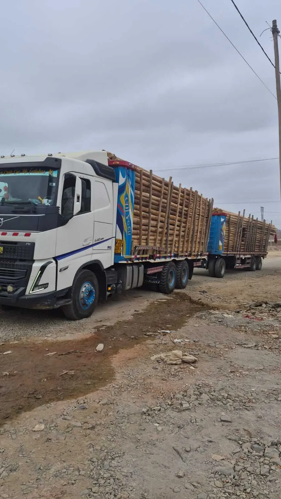Camión blanco cargado con postes de eucalipto en terreno